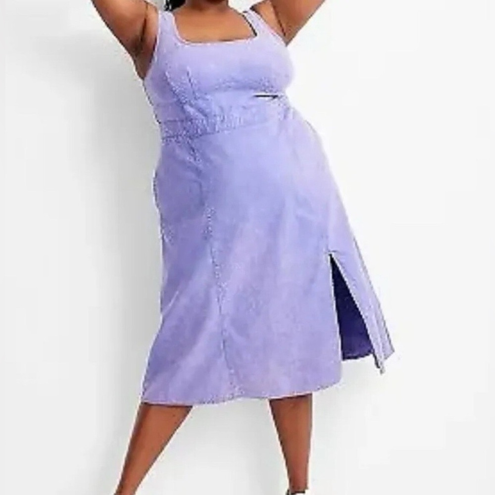 Future Collective Purple Denim Dress